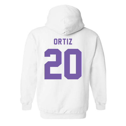 CCNY - NCAA Men's Soccer : Carlos Ortiz - Classic Shersey Hooded Sweatshirt-1