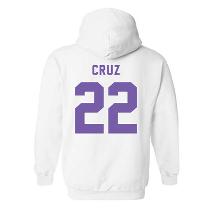 CCNY - NCAA Men's Basketball : Fabian Cruz - Classic Shersey Hooded Sweatshirt-1