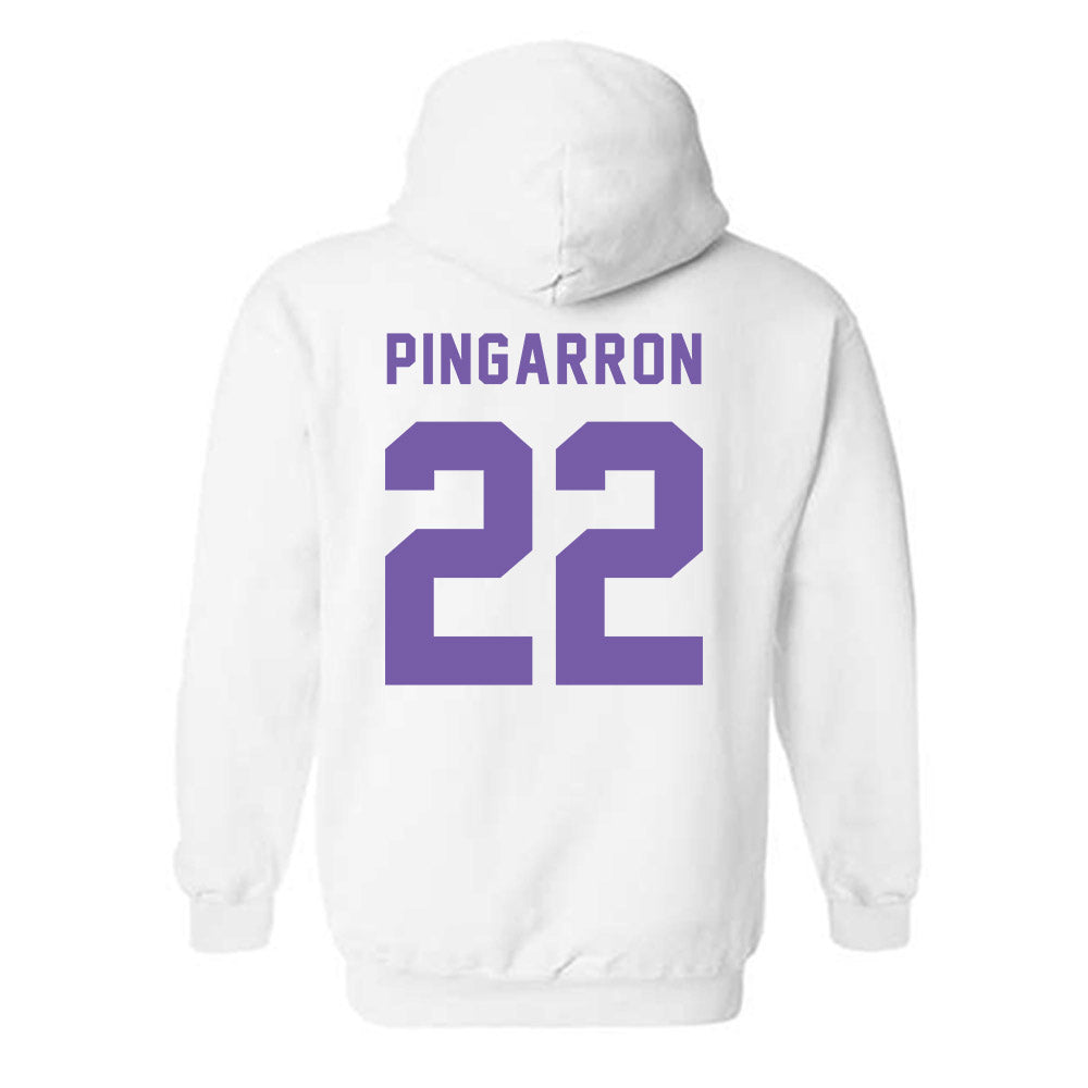 CCNY - NCAA Men's Soccer : Milton Pingarron - Classic Shersey Hooded Sweatshirt-1