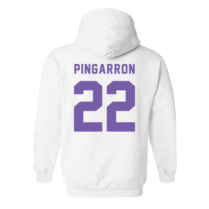 CCNY - NCAA Men's Soccer : Milton Pingarron - Classic Shersey Hooded Sweatshirt-1