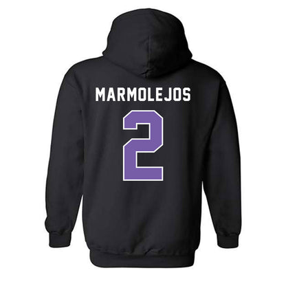CCNY - NCAA Baseball : Eric Marmolejos - Classic Shersey Hooded Sweatshirt-1