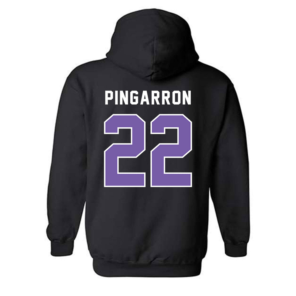 CCNY - NCAA Men's Soccer : Milton Pingarron - Classic Shersey Hooded Sweatshirt-1