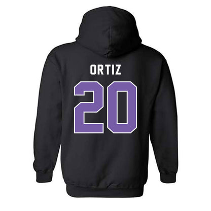 CCNY - NCAA Men's Soccer : Carlos Ortiz - Classic Shersey Hooded Sweatshirt-1