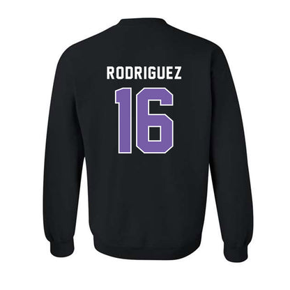 CCNY - NCAA Men's Soccer : Fausto Rodriguez - Classic Shersey Crewneck Sweatshirt-1