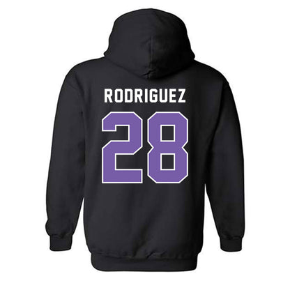 CCNY - NCAA Baseball : Alex Rodriguez - Classic Shersey Hooded Sweatshirt-1