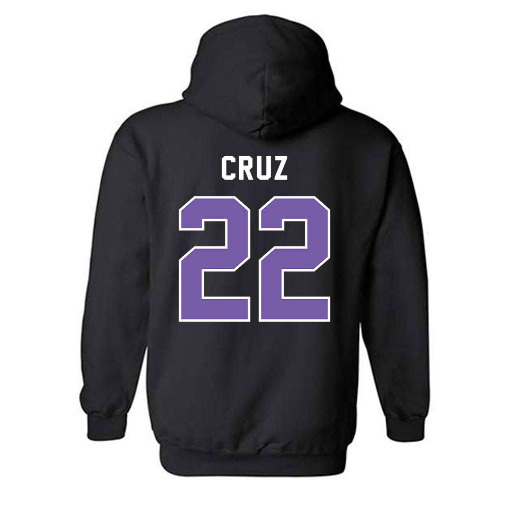 CCNY - NCAA Men's Basketball : Fabian Cruz - Classic Shersey Hooded Sweatshirt-1