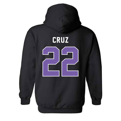 CCNY - NCAA Men's Basketball : Fabian Cruz - Classic Shersey Hooded Sweatshirt-1