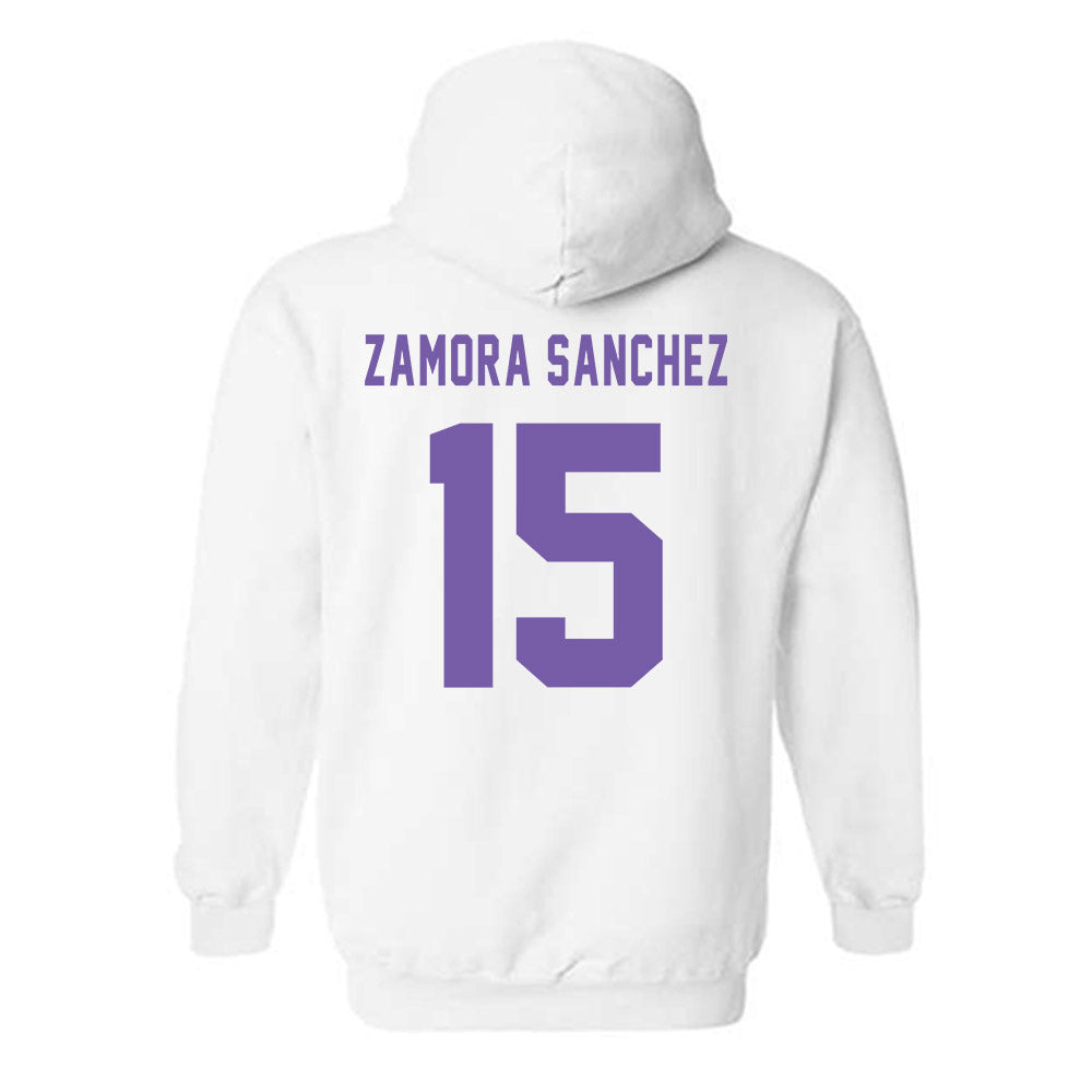 CCNY - NCAA Women's Volleyball : Ivanna Zamora Sanchez - Classic Shersey Hooded Sweatshirt-1