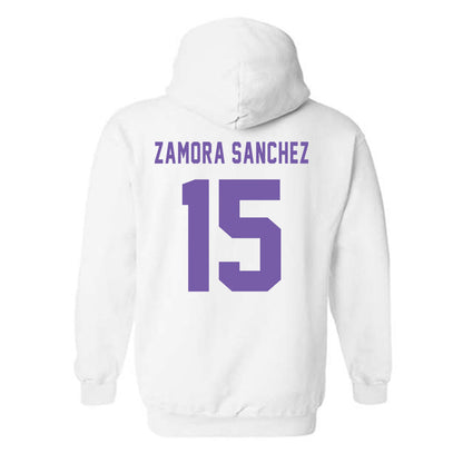 CCNY - NCAA Women's Volleyball : Ivanna Zamora Sanchez - Classic Shersey Hooded Sweatshirt-1