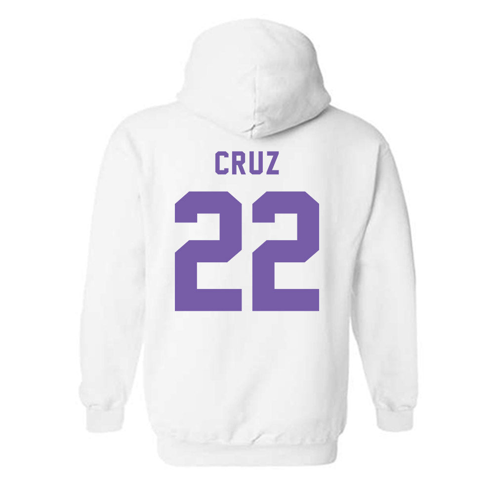 CCNY - NCAA Men's Basketball : Fabian Cruz - Classic Shersey Hooded Sweatshirt-1