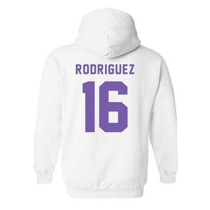 CCNY - NCAA Men's Soccer : Fausto Rodriguez - Classic Shersey Hooded Sweatshirt-1