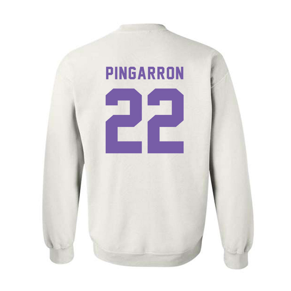 CCNY - NCAA Men's Soccer : Milton Pingarron - Classic Shersey Crewneck Sweatshirt-1