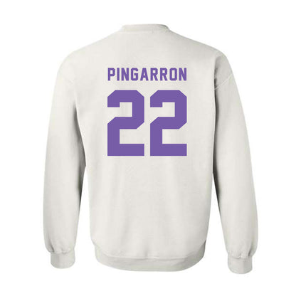 CCNY - NCAA Men's Soccer : Milton Pingarron - Classic Shersey Crewneck Sweatshirt-1