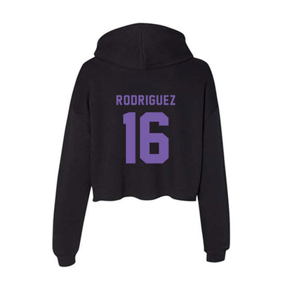 CCNY - NCAA Men's Soccer : Fausto Rodriguez - Women's Crop Fleece Hoodie-1
