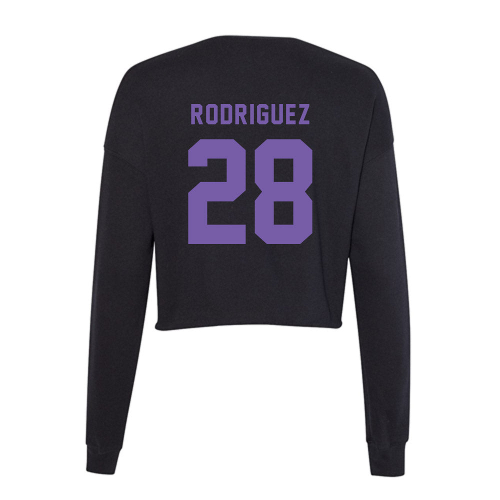 CCNY - NCAA Baseball : Alex Rodriguez - Women's Cropped Crew Fleece-1
