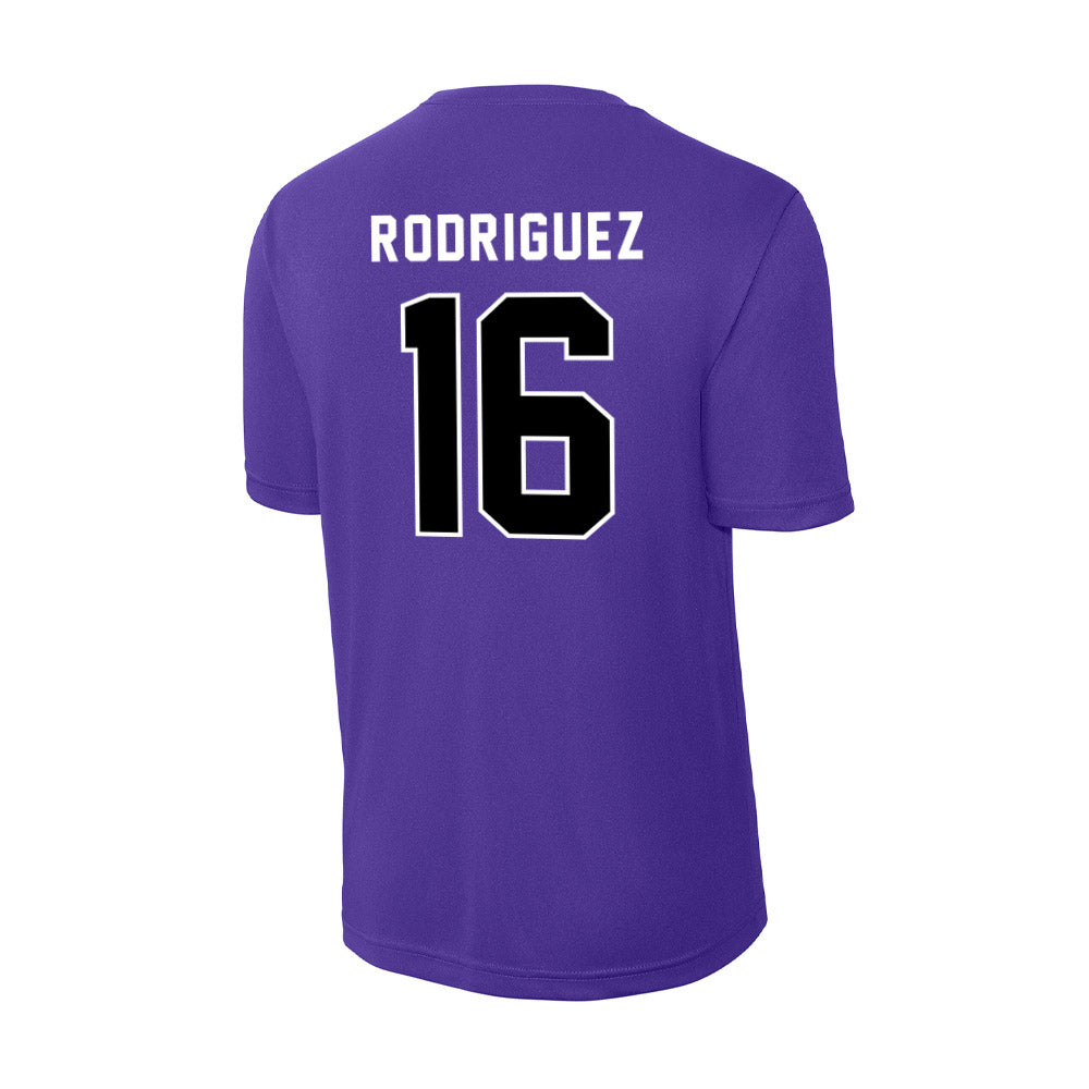 CCNY - NCAA Men's Soccer : Fausto Rodriguez - Activewear T-Shirt-1