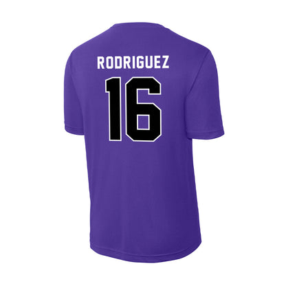 CCNY - NCAA Men's Soccer : Fausto Rodriguez - Activewear T-Shirt-1