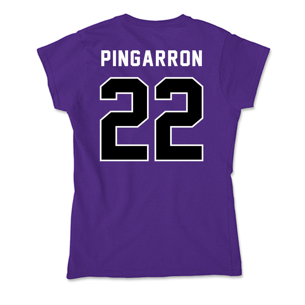 CCNY - NCAA Men's Soccer : Milton Pingarron - Soft Style Women’s T-Shirt-1
