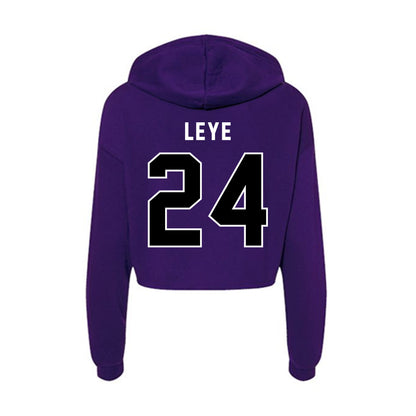 CCNY - NCAA Men's Basketball : David Leye - Women's Crop Fleece Hoodie-1