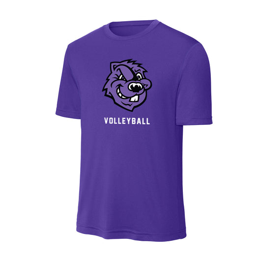CCNY - NCAA Men's Volleyball : Roman Dishmey - Activewear T-Shirt-0