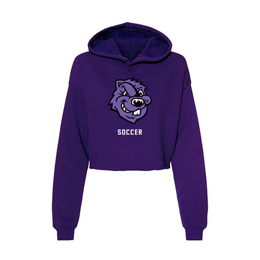 CCNY - NCAA Men's Soccer : Kai Meier - Women's Crop Fleece Hoodie-0