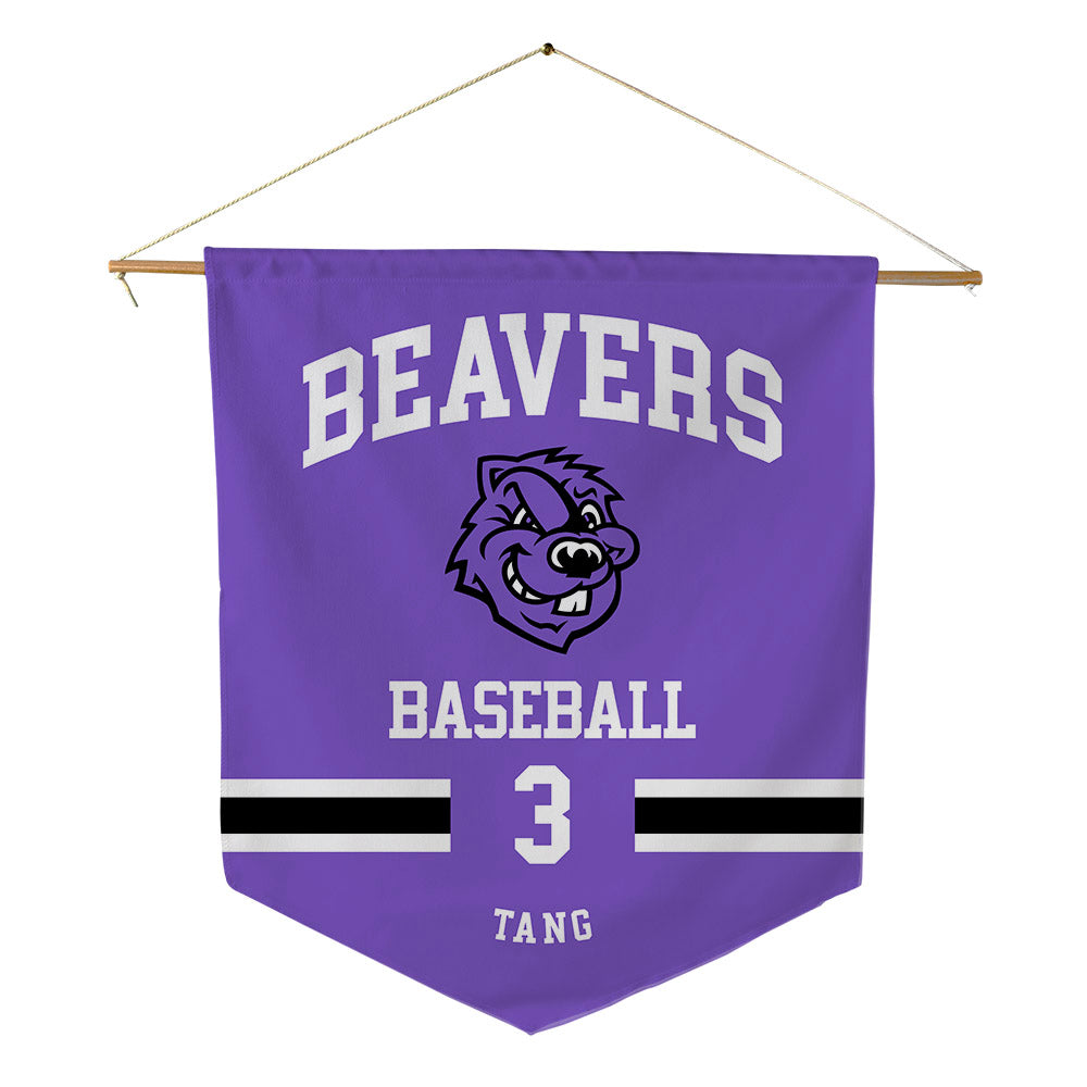 CCNY - NCAA Baseball : Adrian Tang - Pennant - 18" x 21"-0