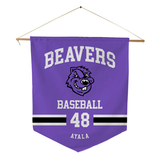 CCNY - NCAA Baseball : Shawn Ayala - Pennant - 18" x 21"-0