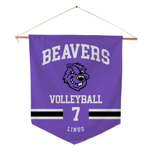 CCNY - NCAA Men's Volleyball : Gabriel Linus - Pennant - 18" x 21"-0