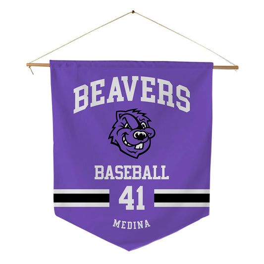 CCNY - NCAA Baseball : Justin Medina - Pennant - 18" x 21"-0