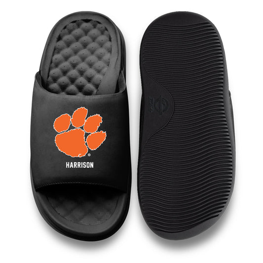 Clemson - NCAA Baseball : Dylan Harrison - ISlide-0