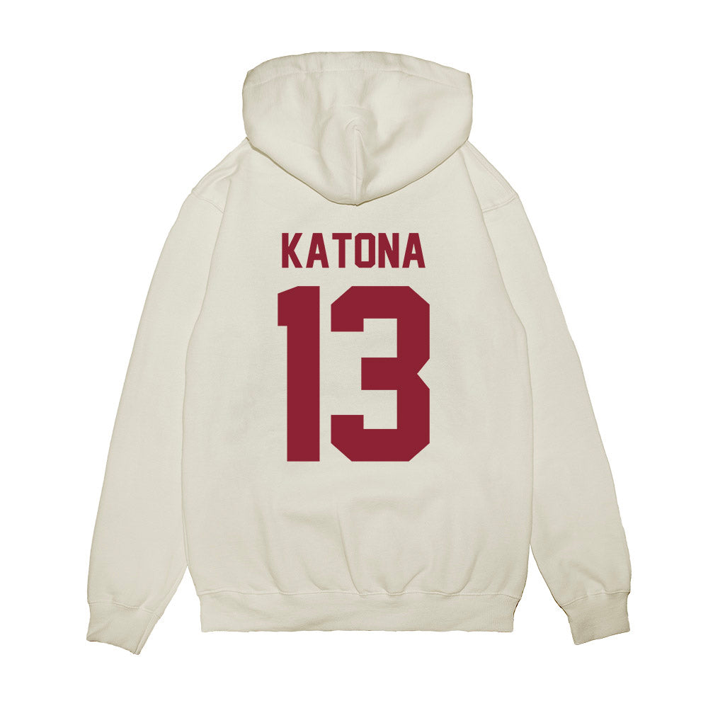 UMN Duluth - NCAA Men's Basketball : Nick Katona - Vintage Premium Hooded Sweatshirt-1