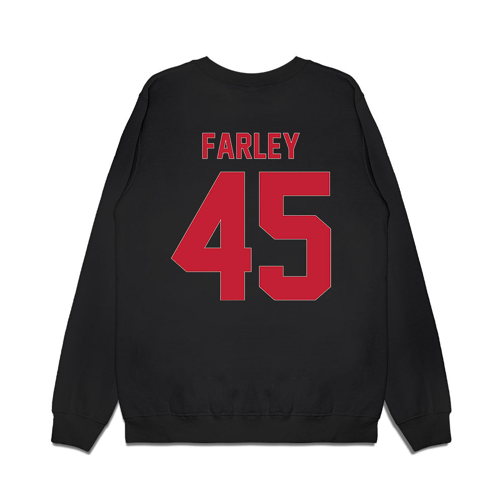 Ball State - NCAA Men's Basketball : Alex Farley - Vintage Premium Crewneck Sweatshirt-1