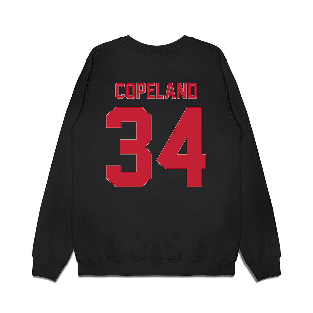 Ball State - NCAA Men's Basketball : Preston Copeland - Vintage Premium Crewneck Sweatshirt-1
