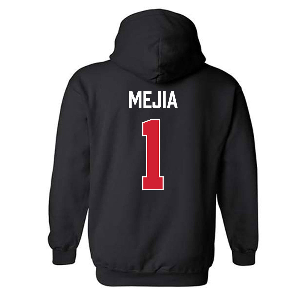 Fairfield - NCAA Men's Basketball : Eric Mejia - Vintage Shersey Hooded Sweatshirt-1