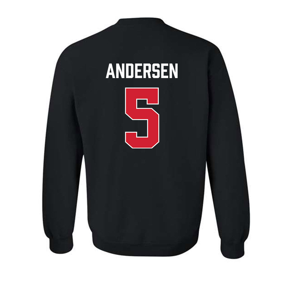 Fairfield - NCAA Women's Basketball : Meghan Andersen - Vintage Shersey Crewneck Sweatshirt-1