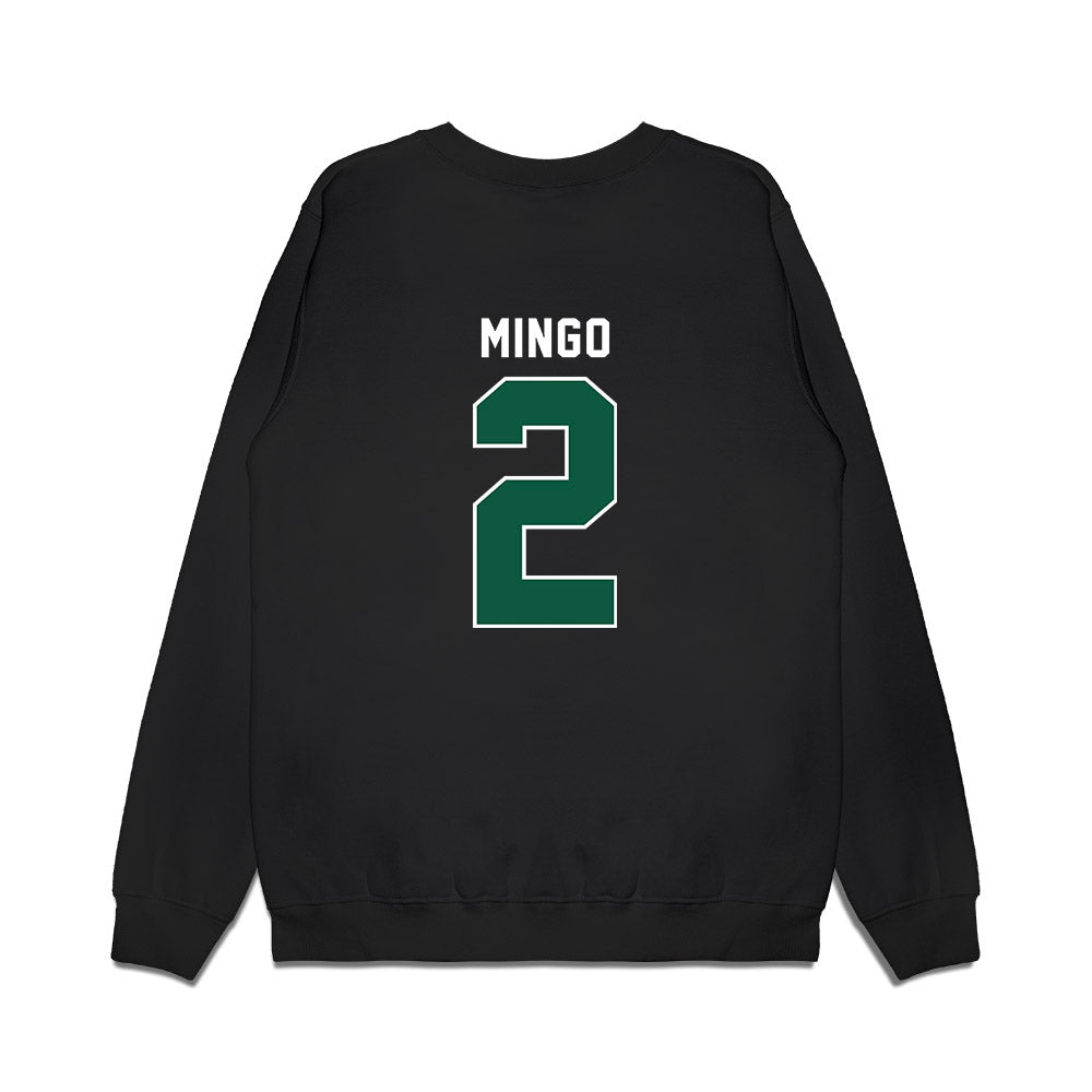 UNC Charlotte - NCAA Men's Basketball : Dezayne Mingo - Vintage Premium Crewneck Sweatshirt-1
