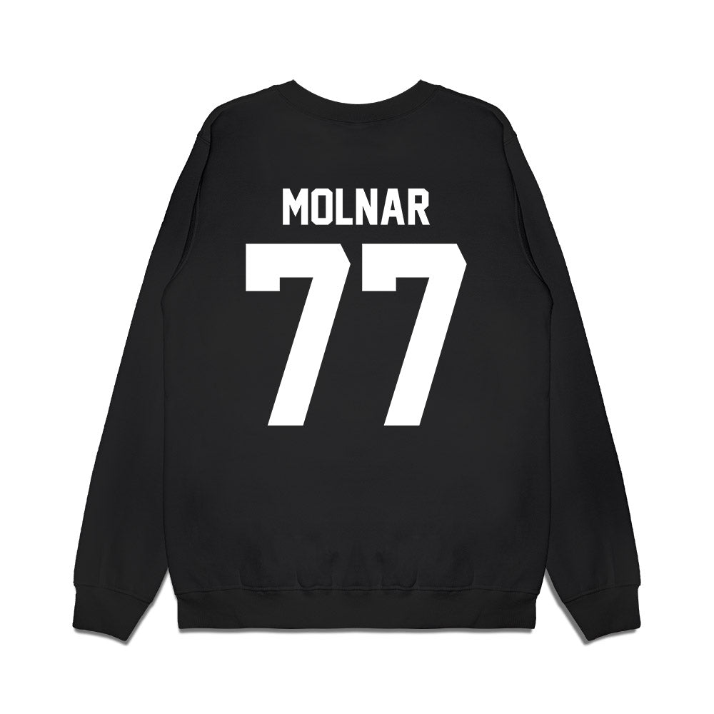 Furman - NCAA Men's Basketball : Davis Molnar - Vintage Basketball Premium Crewneck Sweatshirt-1