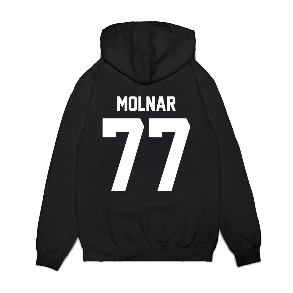 Furman - NCAA Men's Basketball : Davis Molnar - Vintage Basketball Premium Hooded Sweatshirt-1