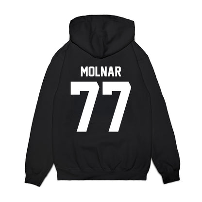Furman - NCAA Men's Basketball : Davis Molnar - Vintage Basketball Premium Hooded Sweatshirt-1