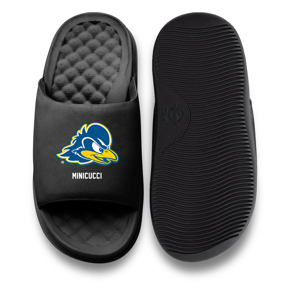 Delaware - NCAA Football : Nicholas Minicucci - ISlide-0