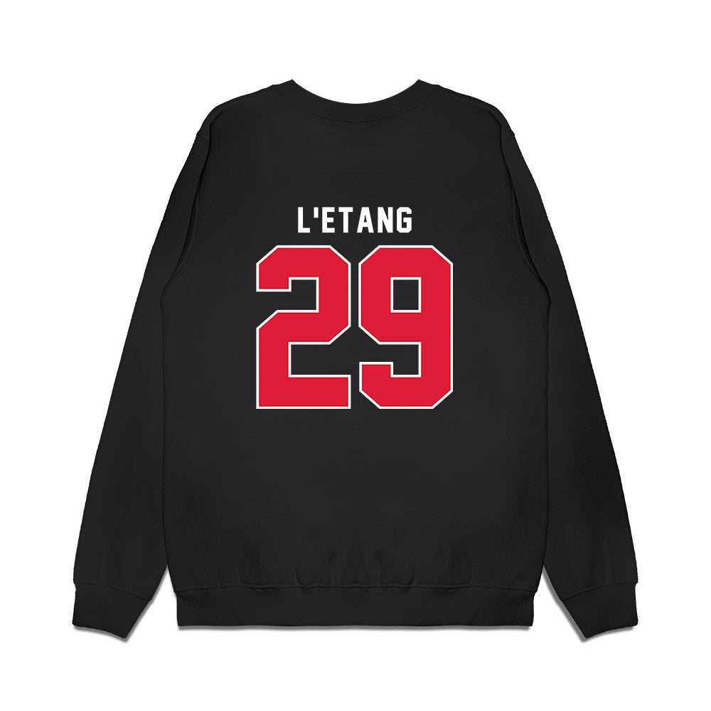 Dayton - NCAA Men's Basketball : Amael L'Etang - Vintage Premium Crewneck Sweatshirt-1