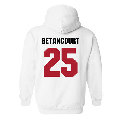 Nicholls State - NCAA Men's Basketball : Domanic Betancourt - Vintage Shersey Hooded Sweatshirt-1