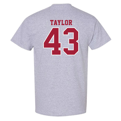 Indiana - NCAA Football : Bryce Taylor - Helmet Shersey T-Shirt-1