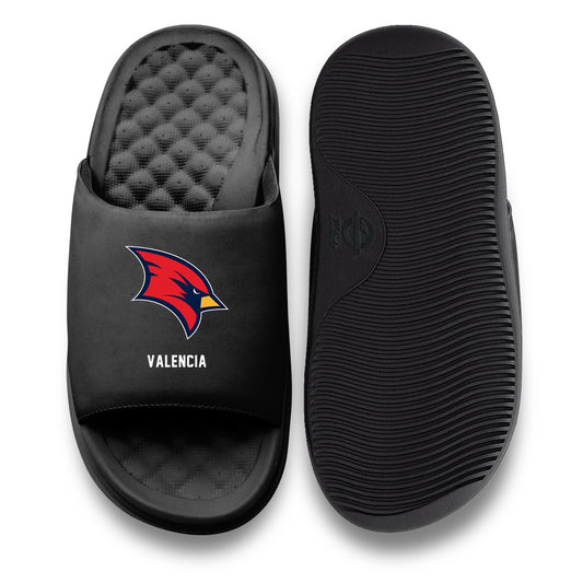 Saginaw Valley - NCAA Football : Lucas Valencia - ISlide-0