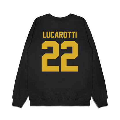Tiffin - NCAA Men's Basketball : Michael Lucarotti - Vintage Basketball Premium Crewneck Sweatshirt-1