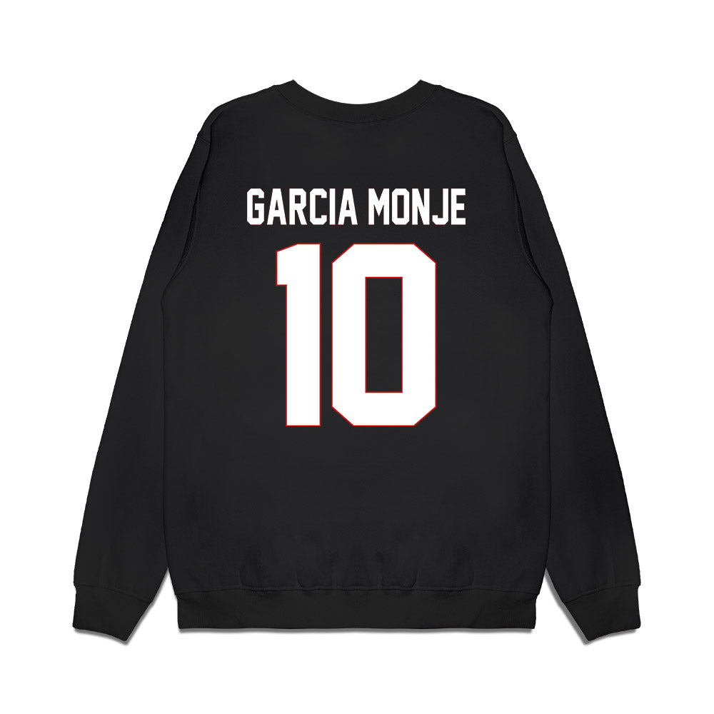 Davidson - NCAA Women's Basketball : Ines Garcia Monje - Vintage Shersey Premium Crewneck Sweatshirt-1