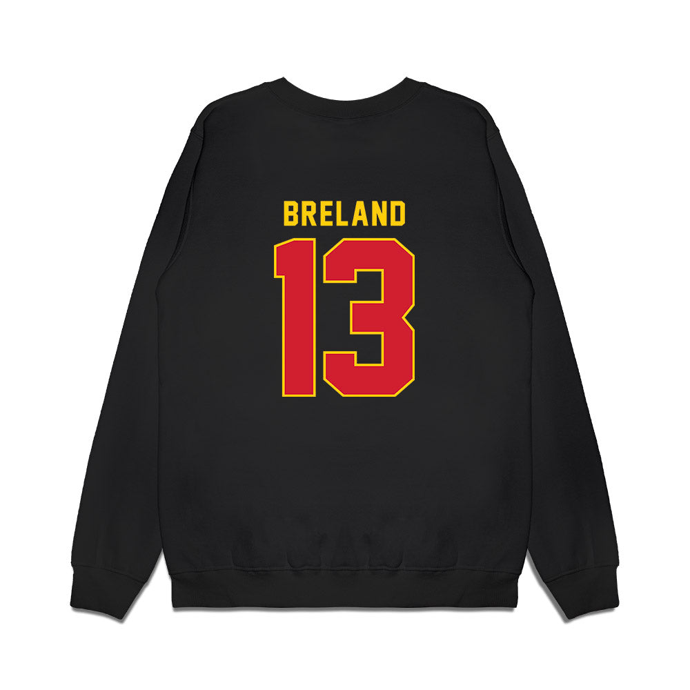 Pitt State - NCAA Men's Basketball : EJ Breland - Vintage Shersey Premium Crewneck Sweatshirt-1