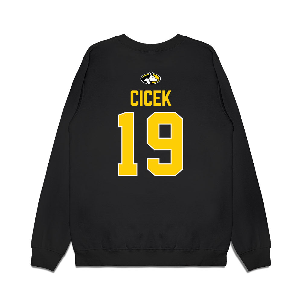Michigan Tech - NCAA Men's Ice Hockey : Michael Cicek - Vintage Premium Crewneck Sweatshirt-1