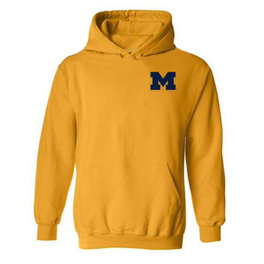 Michigan - NCAA Women's Basketball : - Roster Hooded Sweatshirt-0