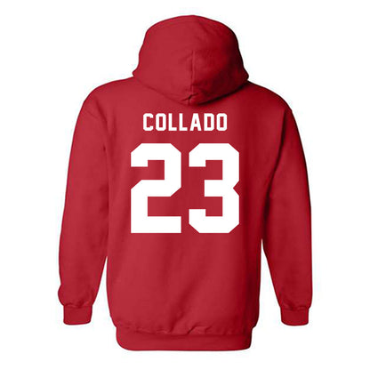 Barry - NCAA Softball : Kamerin Collado - Classic Shersey Hooded Sweatshirt-1